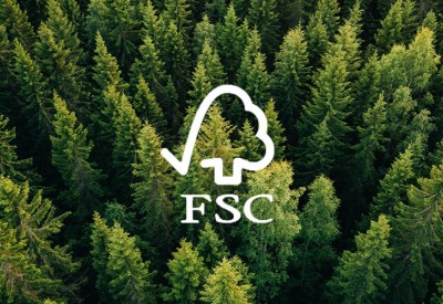 Çevre Dostu Mobilya Seçerken Dikkat Etmeniz Gereken 1 Şey: FSC Sertifikası